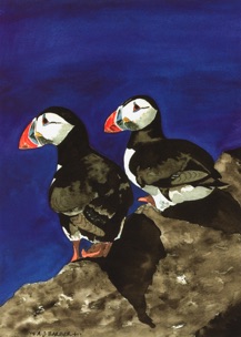 Puffins